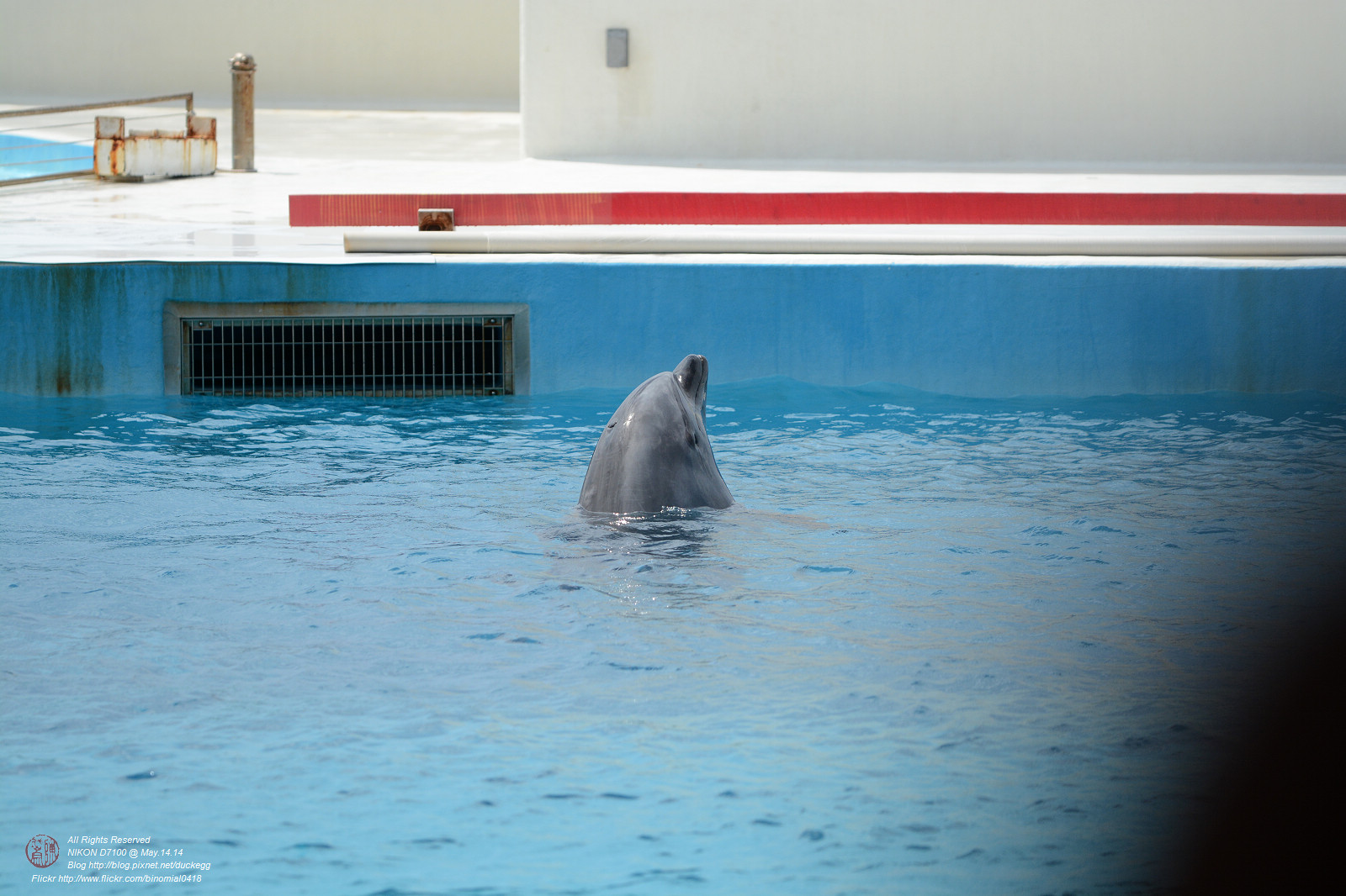 DSC_2982.jpg